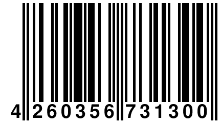 4 260356 731300