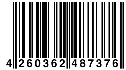 4 260362 487376