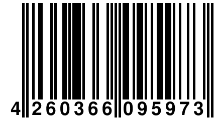 4 260366 095973