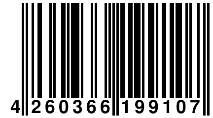 4 260366 199107