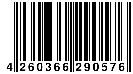 4 260366 290576