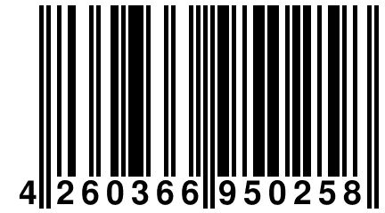 4 260366 950258