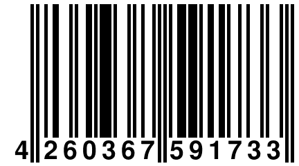 4 260367 591733