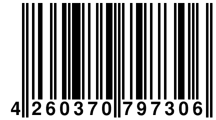 4 260370 797306