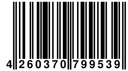 4 260370 799539