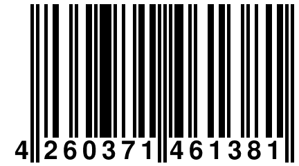 4 260371 461381