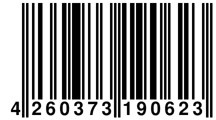 4 260373 190623