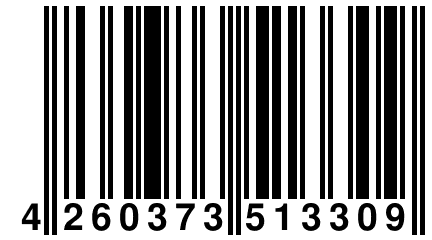 4 260373 513309