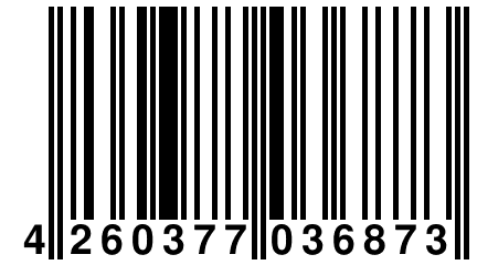 4 260377 036873