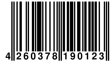 4 260378 190123