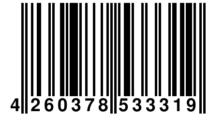 4 260378 533319