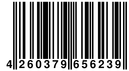 4 260379 656239