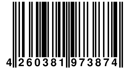 4 260381 973874