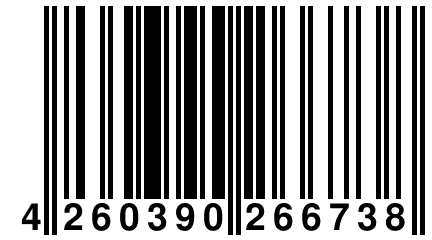 4 260390 266738