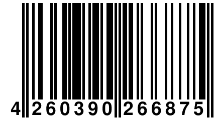 4 260390 266875