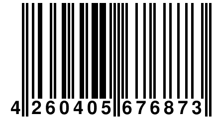 4 260405 676873