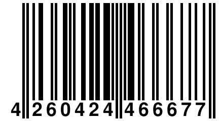 4 260424 466677