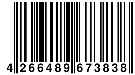 4 266489 673838