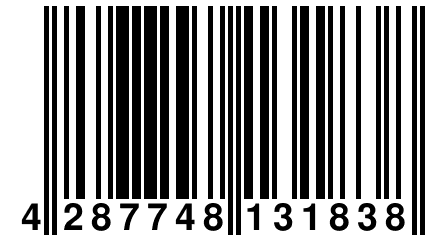 4 287748 131838