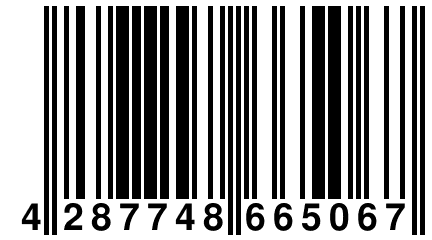 4 287748 665067