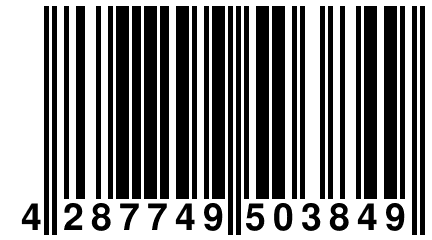 4 287749 503849