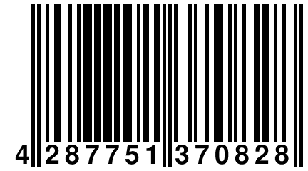 4 287751 370828