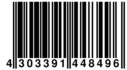 4 303391 448496