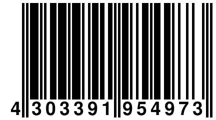 4 303391 954973