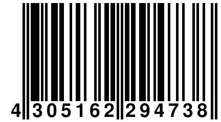 4 305162 294738