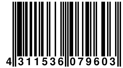 4 311536 079603