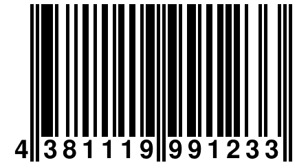 4 381119 991233