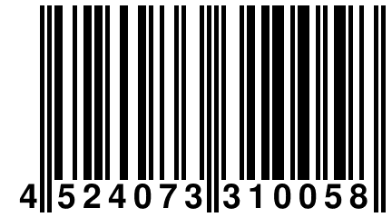 4 524073 310058