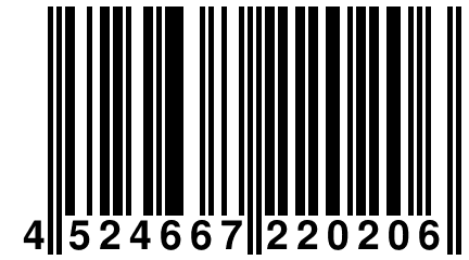 4 524667 220206