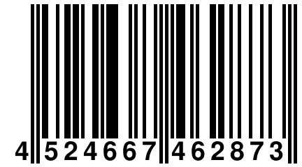 4 524667 462873