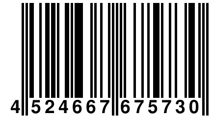 4 524667 675730