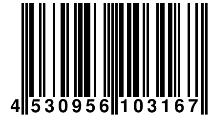 4 530956 103167