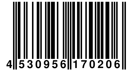 4 530956 170206