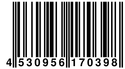 4 530956 170398