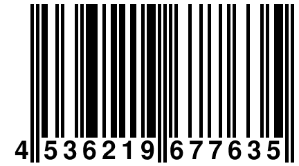 4 536219 677635