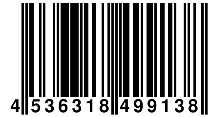 4 536318 499138