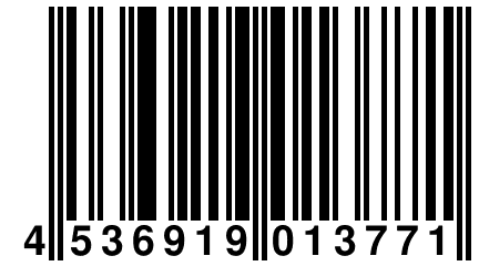 4 536919 013771