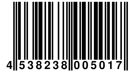 4 538238 005017