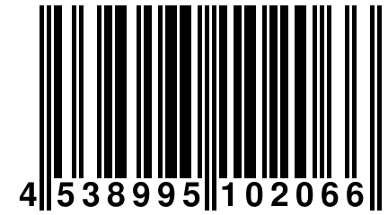 4 538995 102066