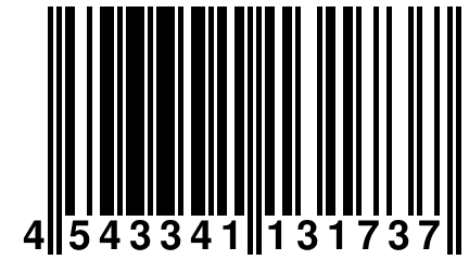 4 543341 131737