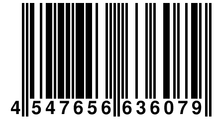 4 547656 636079