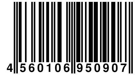 4 560106 950907