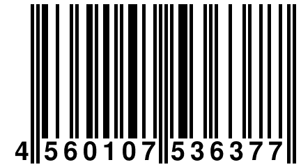 4 560107 536377