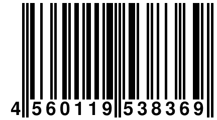 4 560119 538369