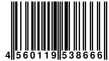 4 560119 538666