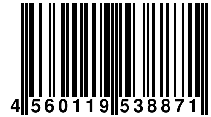 4 560119 538871